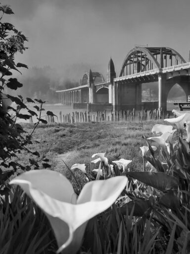 Bridge and Lilies