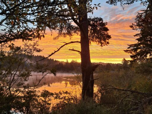 Sutton Lake Sunrise