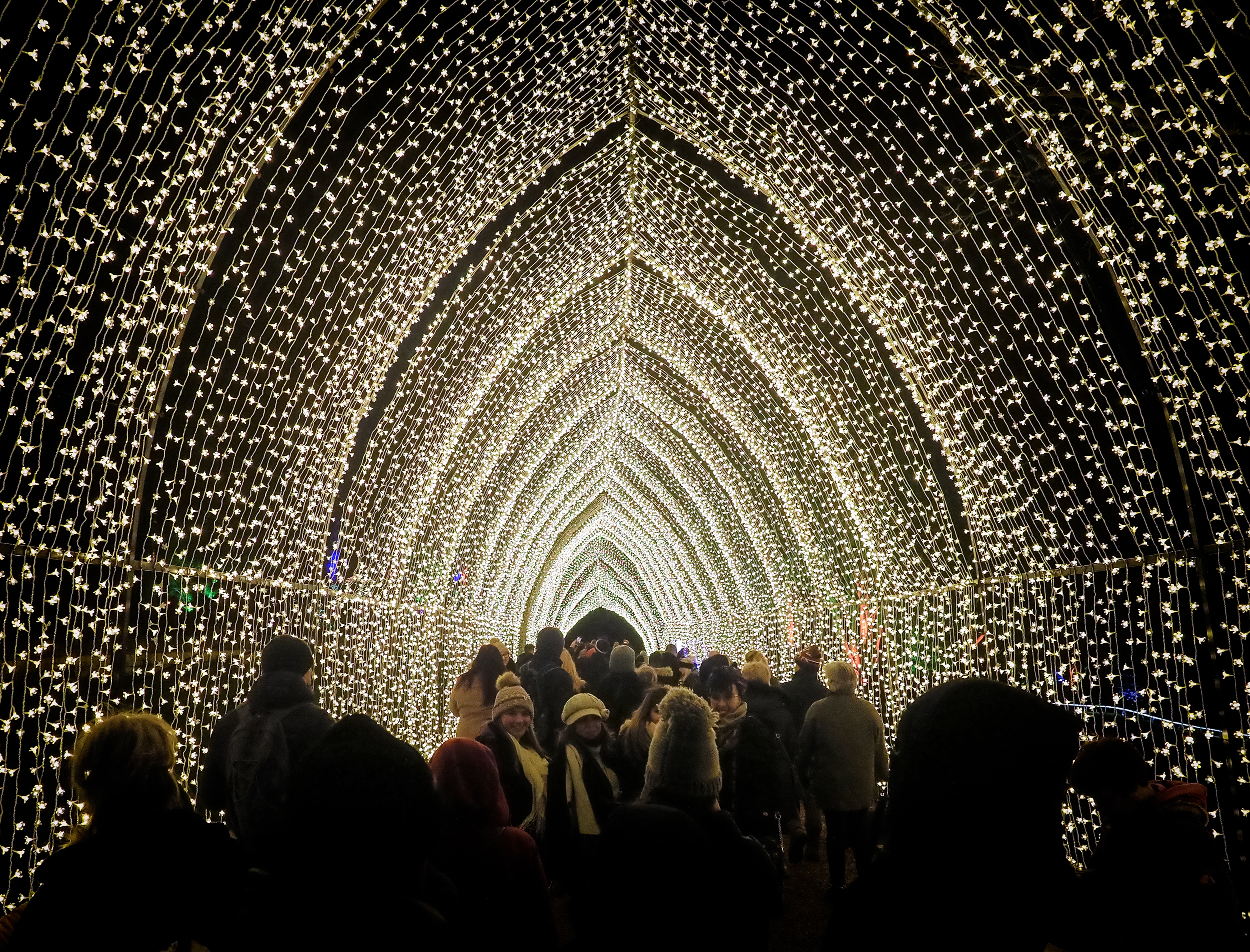 Tunnel of Lights