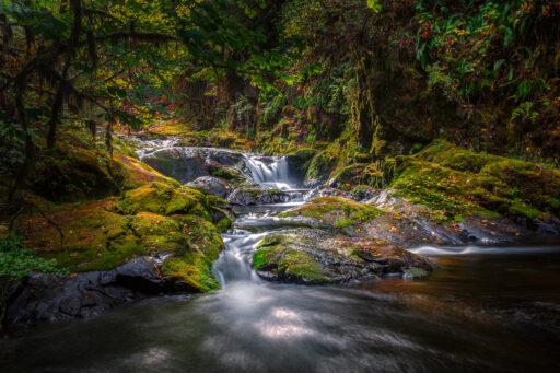 Sweet Creek Falls - Jack Uellendahl