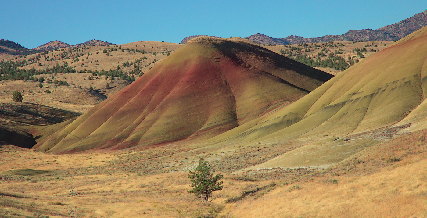 A Painted Hill