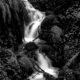 Spring Runoff 