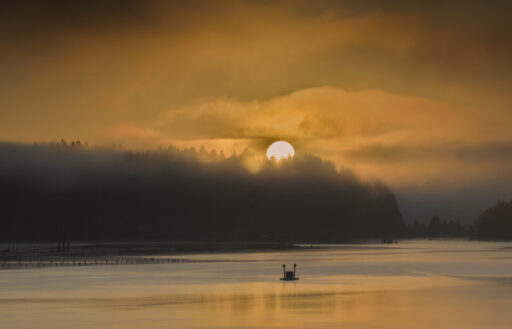 Siuslaw Sunrise