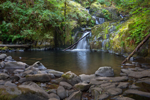 Sweet Creek Falls and Pool