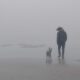 Beach Fog 