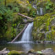 Sweet Creek 