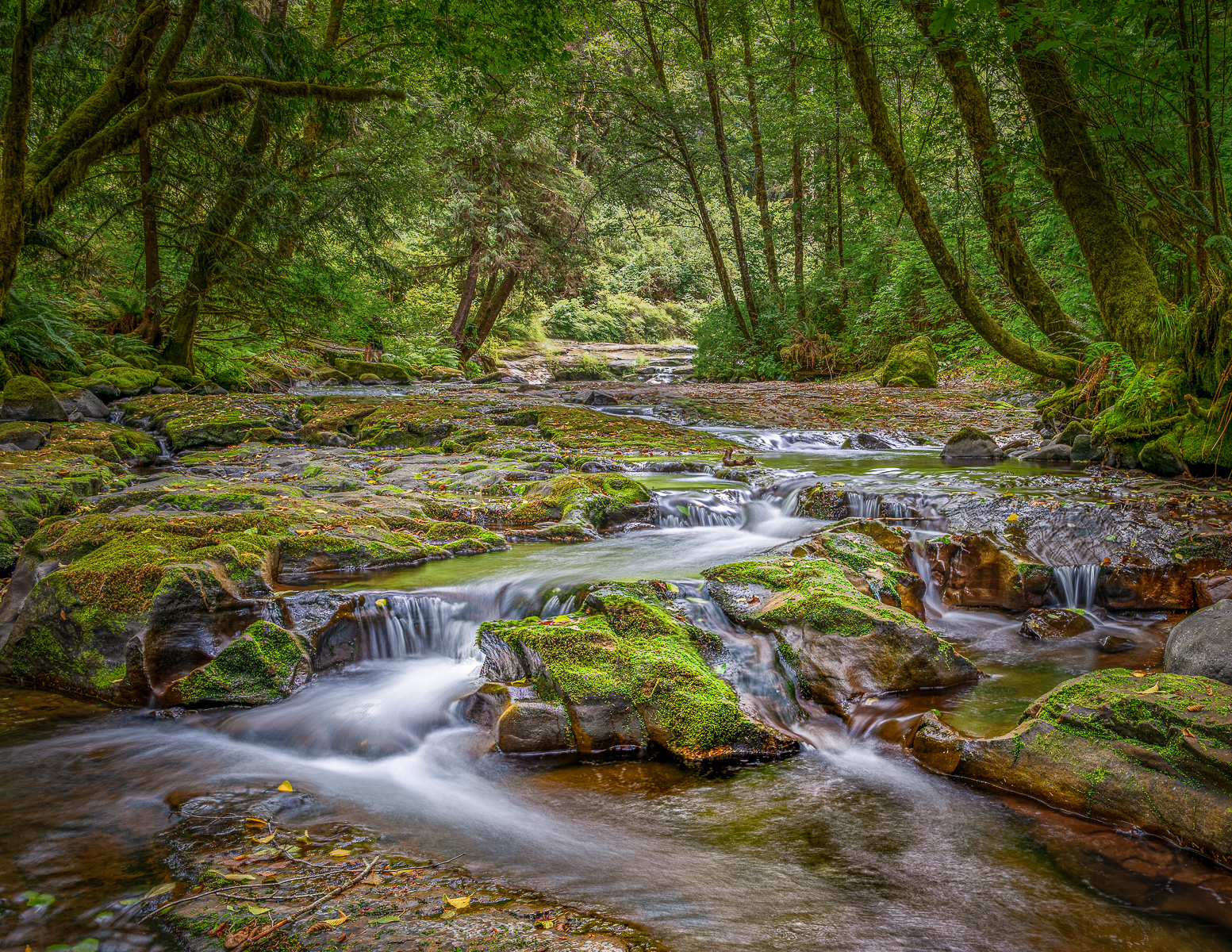 Sweet Creek 2