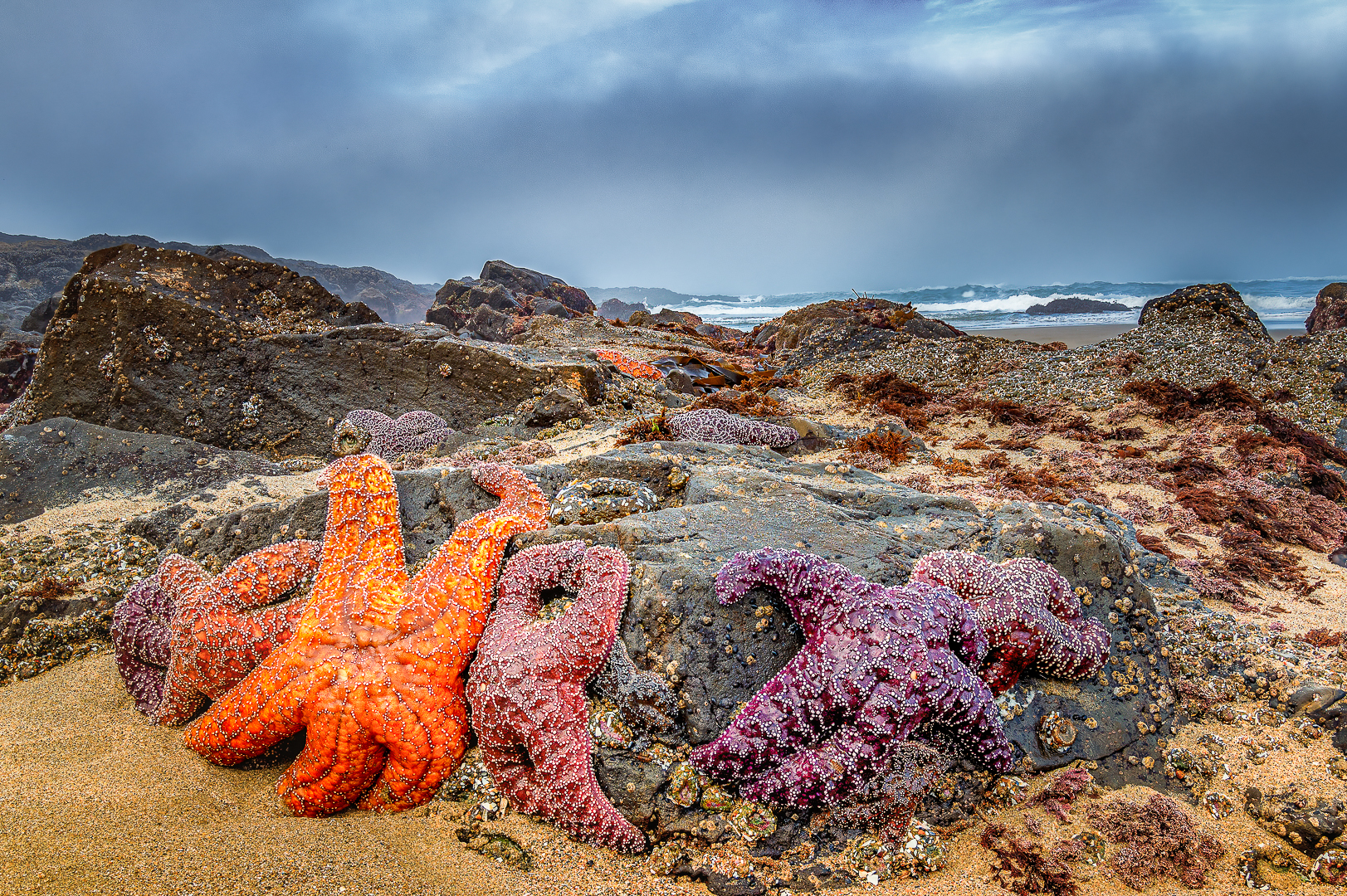Low Tide